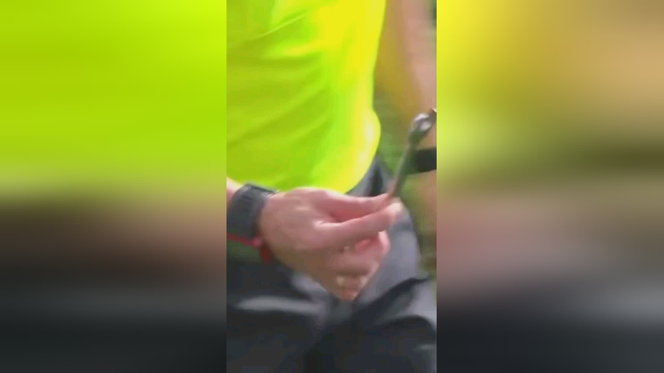 执教序幕这